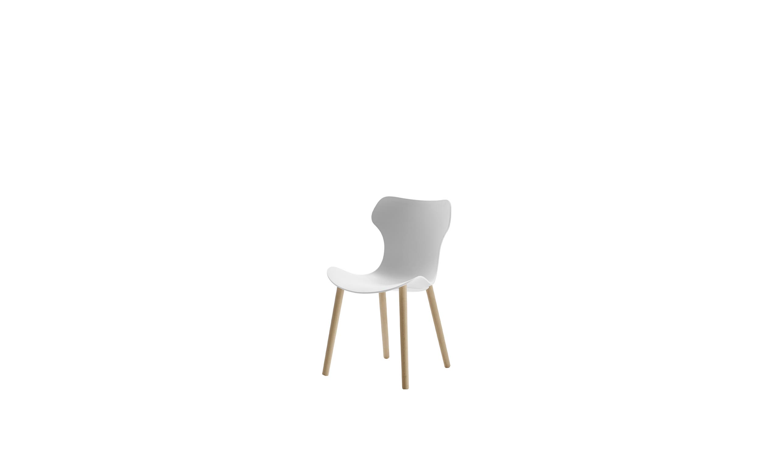 Italian designer modern chairs  - Papilio Shell Chairs 5